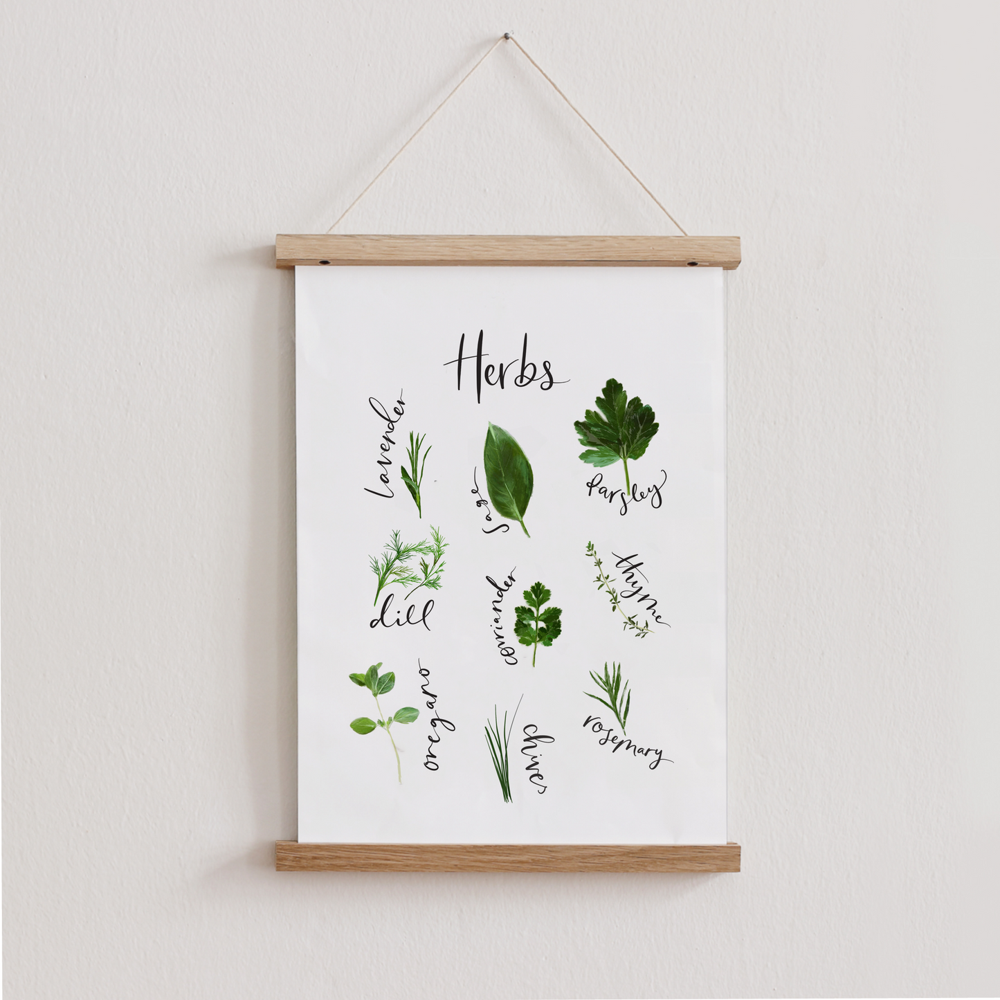 Kitchen Herbs Print